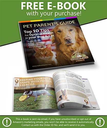 Oatmeal Dog Shampoo with Aloe Vera and Vitamin E - Hypoallergenic Dog Shampoo for Pets with Dry, Sensitive or Itchy Skin - All Natural Fragrance Free, 16 Ounces of the Best Dog Shampoo for Dry Skin