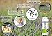 Doggone Pet Products GO-2-FRESH Carpet Deodorizer, Odor Neutralizer