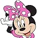 Jay Franco Disney Minnie Mouse XOXO Kids 40 x 50 Inch Plush Throw Blanket (Official Disney Product)
