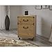 Bush Furniture Ironworks 2 Drawer Mobile File Cabinet, Vintage Golden Pine