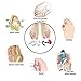 Bunion Corrector, Bunion Corrector Relief Sleeves Kit Gel Bunion Pads Cushion Bunion Protector of Toe Separators Spacers Straighteners splint for Hammer Toe, Tailors Bunion