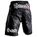 Hayabusa Shiai Fight Shorts