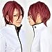Flovex Short Straight Dark Red Anime Cosplay Wig Fluffy Unisex Natural Party Daily Hair