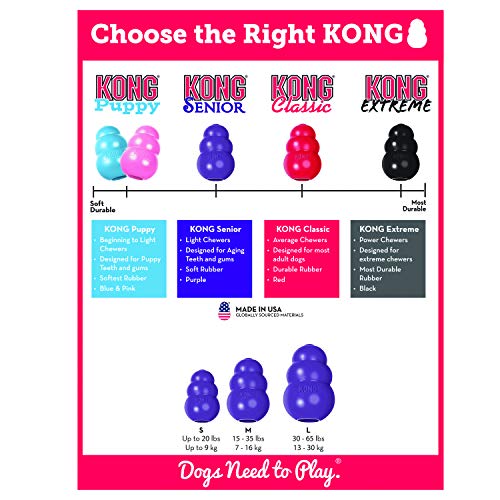 KONG Senior Medium