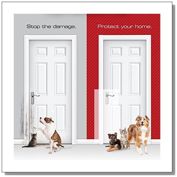 Ways to Stop a Dog from Scratching Up a Door BLUE CRYSTAL SKY