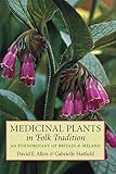 Medicinal Plants in Folk Tradition: An Ethnobotany of Britain & Ireland by
