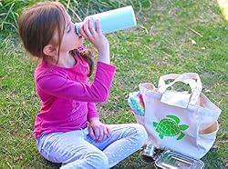 Ecozoi Reusable Lunch Bag with