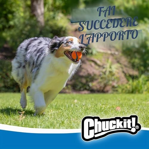 Chuckit Ultra Ball Cane, Palla Multicolore, M