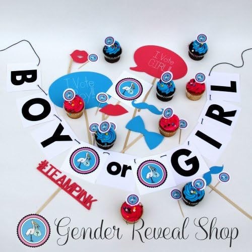 Gender Reveal Party Decorating Kit