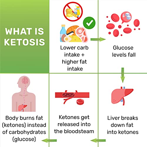 Ketone Test Strips 150 Quick & Easy Keto Strips Urine Test Strips with eBook Check Ketosis