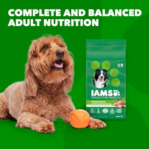 IAMS PROACTIVE HEALTH MINICHUNKS ADULT DRY DOG FOOD WITH REAL CHICKEN, 7 LB. BAG