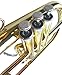New Brass Flugel Horn w/Case.Approved+Warranty