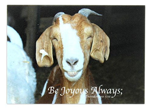 Subtle Verse 3.5″ Inspirational Scripture Magnet (Be Joyous Always)