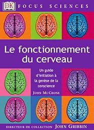 Le  fonctionnement du cerveau