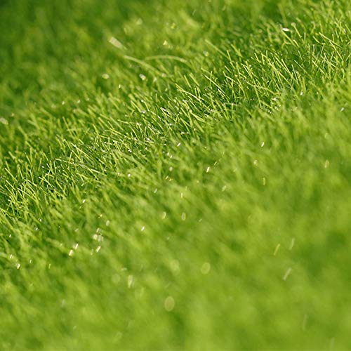 image for Binory Mini Artificial Moss Lawn for 1/12 Dollhouse Furniture,Fashion 