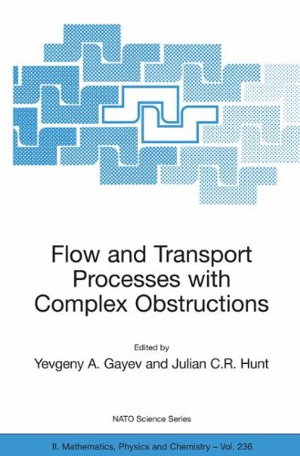 Flow and Transport Processes with Complex Obstructions: Applications to Cities, Vegetative Canopies and Industry (Nato Science Series II:)