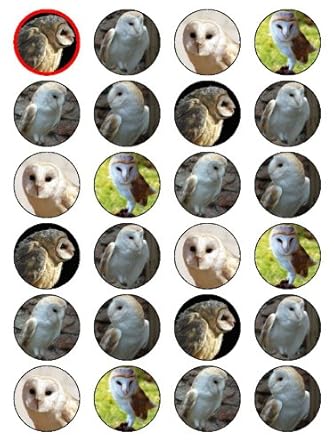 X24 1 5 Barn Owl Birthday Cup Cake Toppers Decorations On Edible
