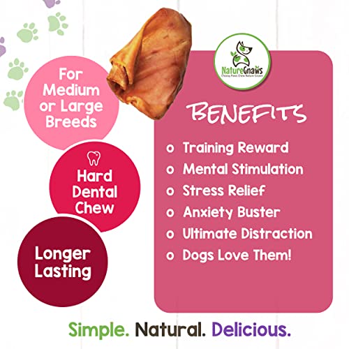 Nature Gnaws Pig Ears for Dogs Premium Natural Pork Dental Chews