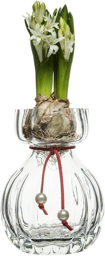 SeaGlassware Hyacinth Vase, 0.1 x 0.1 x 0.1 cm