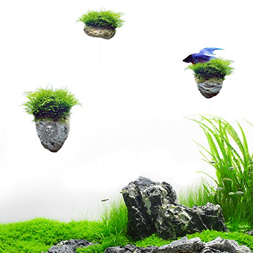 Magical hallelujah Floating Garden by SunGrow - Recreate Pandora, the underwater world of Avatar in 