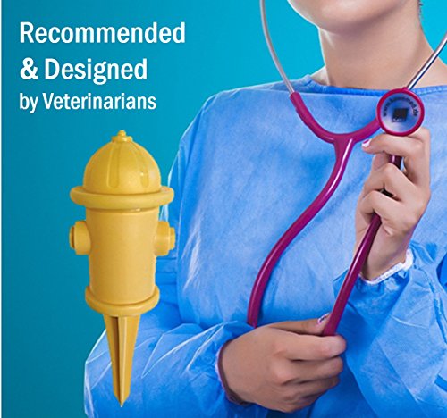 Vet Worthy Pet Potty Hydrant for Dogs
