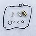 KIPA Carburetor Rebuild Repair Kit for Yamaha Virago 250 Route 66 V Star 250 XV250 V Star V-Star 650 XVS650 Custom XVS650 Custom Raven Motorcycle Carb Carburetor Repair