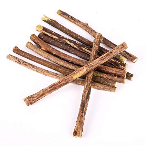 Cat Toys - 20pcs Cat Cleaning Tooth Natural Catnip Pet Molar Toothpaste Stick Actinidia Fruit Silvervine Snack - Fiddle Guy Computed Axial Tomography Dog Vomit Play Retch Diddle