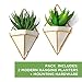 California Home Goods Modern Hanging Planter Pots (2-Pack), Small Decorative Wall Planters for Cactus Decor & Hanging Plants, Wall Hanging Ceramic Planter with Brass Wire Frame, White Plant Decor
