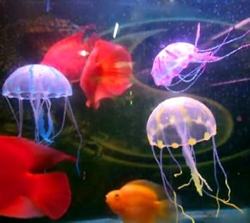 Amazon まるで本物 アクアリウム用 人工くらげ 3匹セット 魚に無害のシリコン製 絆 オーナメント 通販