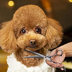 Dog Scissors for Grooming, INTINI 7.5 Inch Sharp