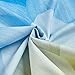 Hoffman Quilt Fabrics Hoffman Digital Dream Big Flower 43Inpanel, French Blue