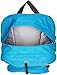 JanSport Big Student Backpack- Sale Colors (Blue Crest)