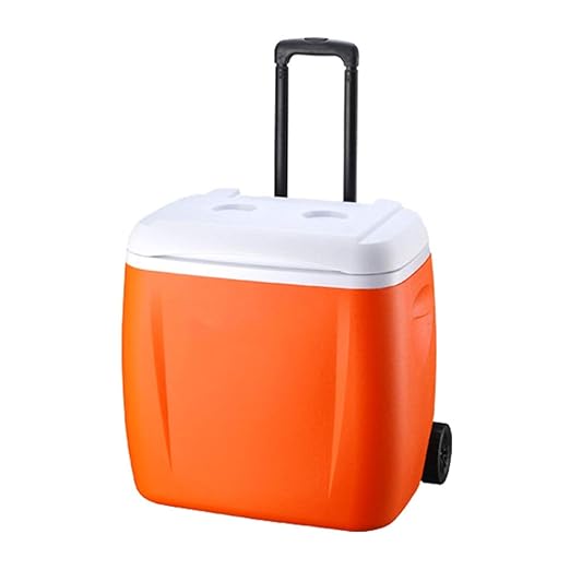 ZLSANVD Nevera portátil al Aire Libre de Rod Aislamiento del Coche ...