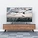 1home Universal Tabletop TV Stand for 22-65 inch LCD LED Plasma Height Adjustable Pedestal Mount Monitor Riser