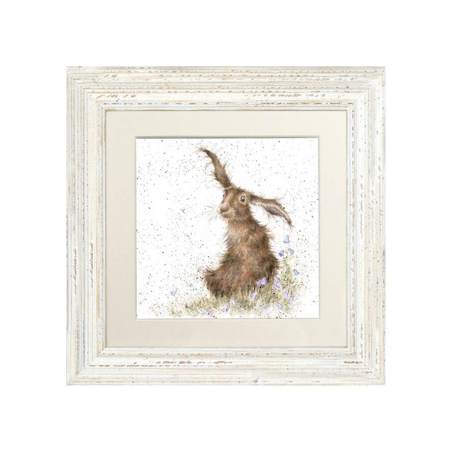 Wrendale Designs " Harebells Hare Framed Picture in Various frame Colours (Distressed White)