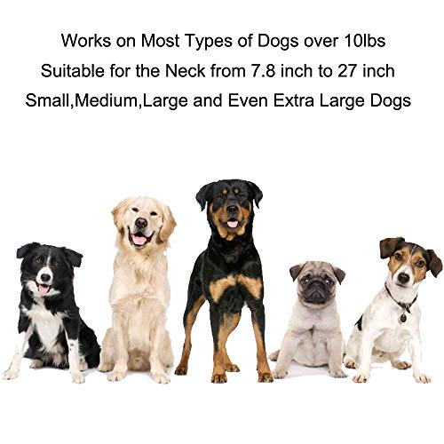 YHPOYLP 100% Wireless Dog Fence System Outdoor Invisible Pet Containment System,Rechargeable &Waterproof,with Tone、Vibration and Shock,Safe & Easy Install