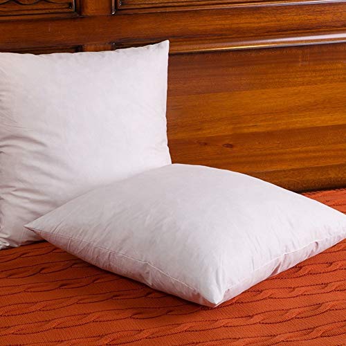 Set Of 2 Down And Feather Throw Pillow Insert The Fabric Is