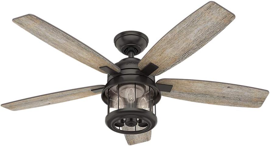 Hunter Indoor Outdoor Ceiling Fan With Light And Remote Control