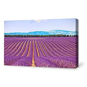 Canvas Wall Art for Living Room,Bedroom Home Artwork Paintings Romantic Lavender Ready to Hang - 12x18 inches