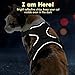 Eagloo Cat Harness Escape Proof Small Cat and Dog Harness Soft Mesh Harness Adjustable Cat Vest Harness with Reflective Strap Metal Clip Cat Walking Jacket Comfort Fit for Kitten Puppy Black X-Small