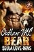 Outlaw MC Bear (Beartooth Brotherhood MC Book 1)