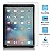 SPARIN Screen Protector for iPad Pro 12.9