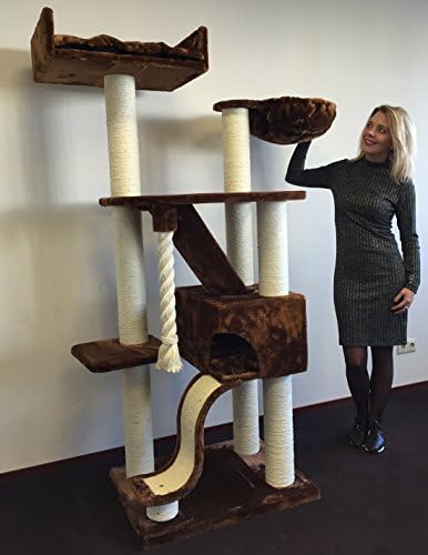 Cat Tree for Large Cats – Cat Mansion Brown – 71 inch 108 lbs 5 inch Ø poles – Total size 71x29x23 inch – Cat Scratcher scratching post activity center Cat Trees for large cats. Quality product from C