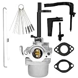 Dosens 591378 Carburetor Replacement for Briggs & Stratton 796321 696132 696133 796322 697351 699958 699966 698455 695918 694952 695919 695330 796323 695920 695328 W/h Gasket & Carbon Dirt Jet Cleaner