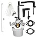 Dosens 591378 Carburetor Replacement for Briggs & Stratton 796321 696132 696133 796322 697351 699958 699966 698455 695918 694952 695919 695330 796323 695920 695328 W/h Gasket & Carbon Dirt Jet Cleaner
