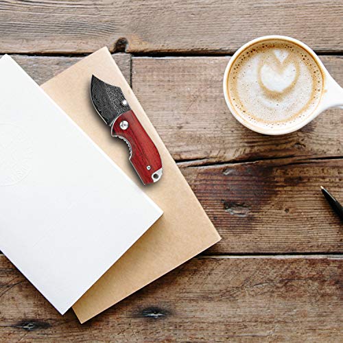 KUBEY Folding Knife, Small Pocket Knife with Wooden Handle, EDC Compact Knife with Razor Sharp Blade and Safety Liner Lock for Hunting Camping Hiking Tool (DM143-1) - Thumbnail 5