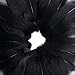 Coceca 300pcs Black Feathers for Various Birthday Party Wedding Festival Party Decorations