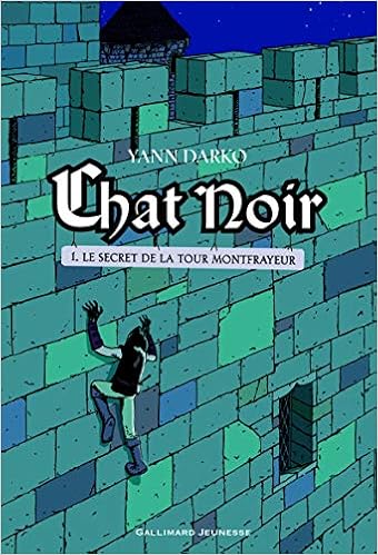 Chat Noir Tome 1 Le Secret De La Tour Montfrayeur Amazon Fr Darko Yann Livres