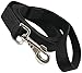 Dog Leash 1