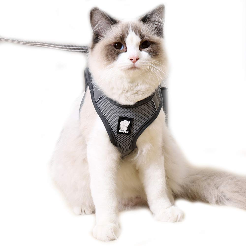 Cat Harness and Leads,Ultra-Light Pet Harness Breathable Soft Mesh Walking Vest Harness for Cats (M, Gray)